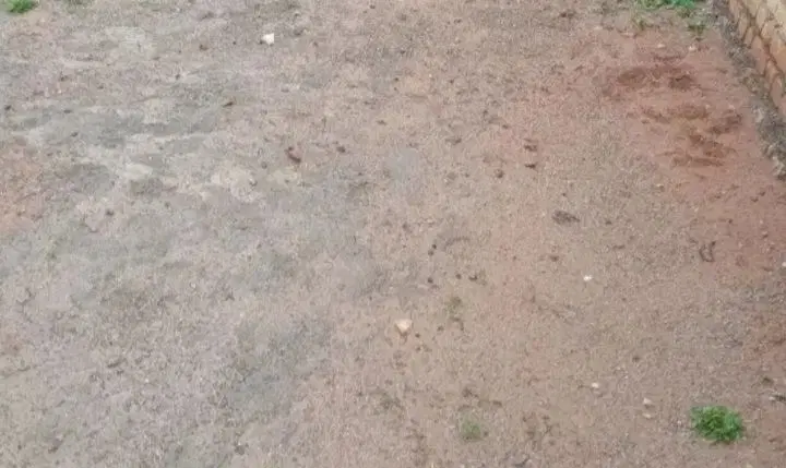 زمین ۲۰۰متر جنوبی شهرک نادی