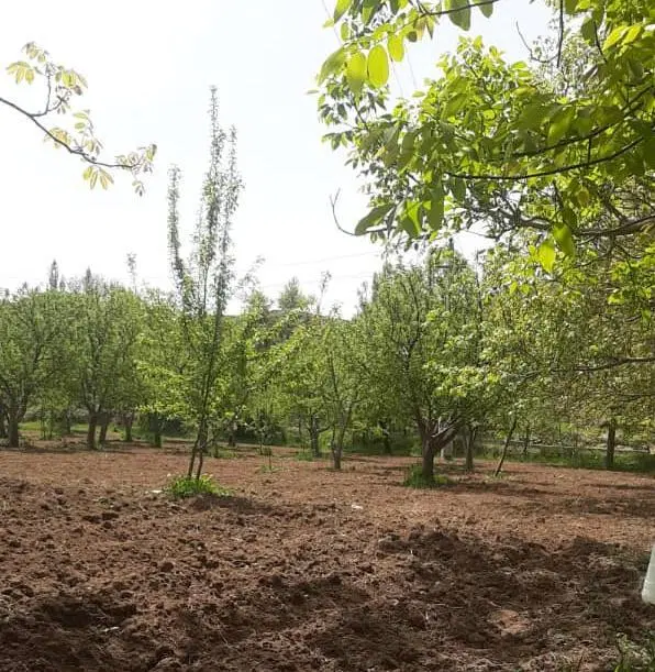 خانه ویلایی