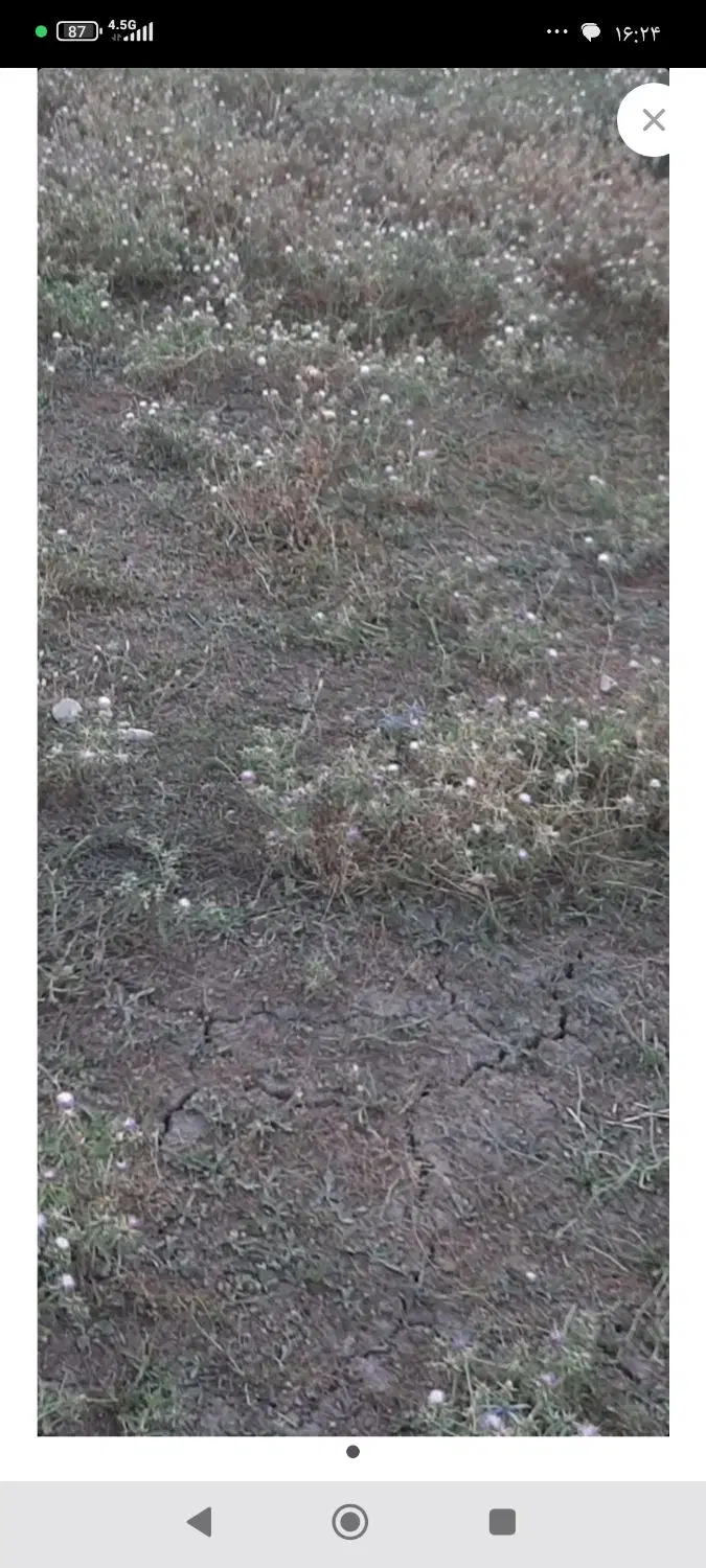 زمین فروشی
