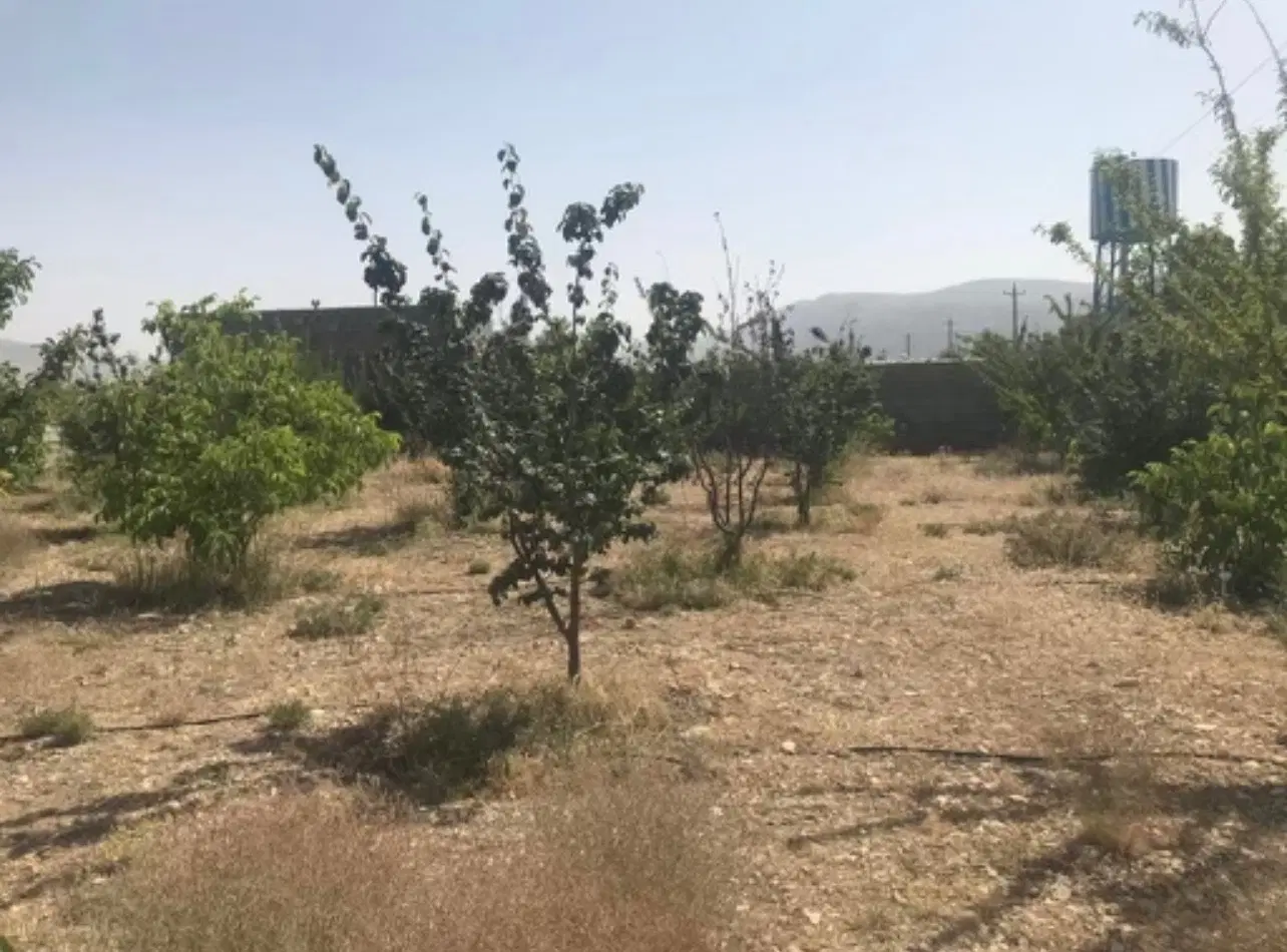 باغشهری دشت ارژن