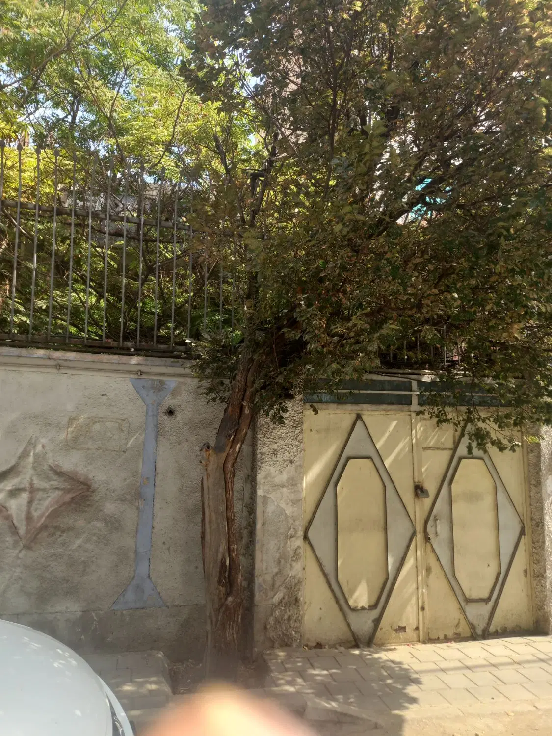 ملک کلنگی