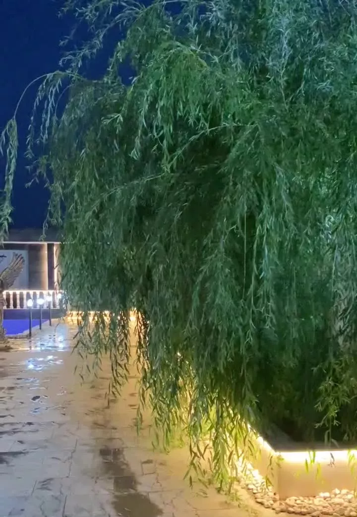 کد۱۸