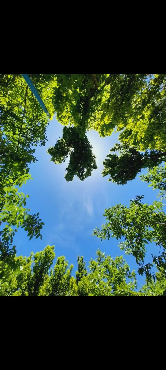 باغ اجاره ای رورانه
