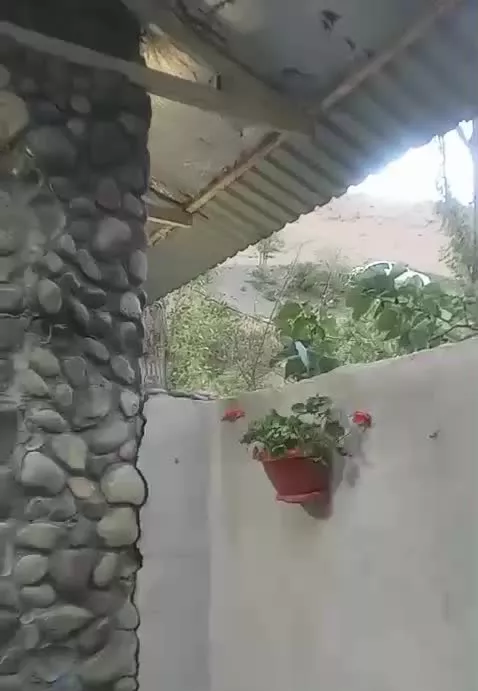 اجاره باغ ویلا