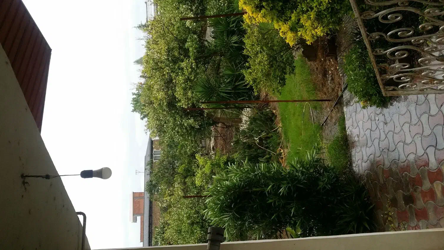 باغ مرکبات
