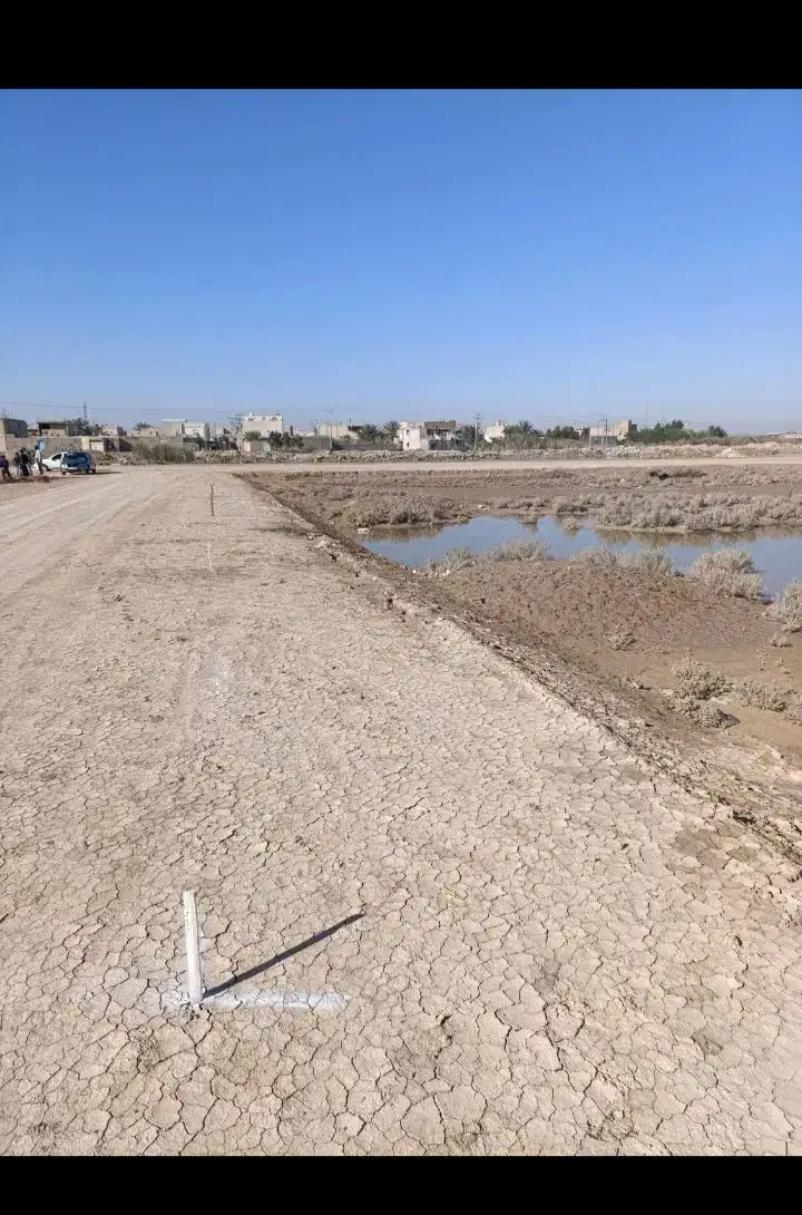 فروش زمین فرزندآوری