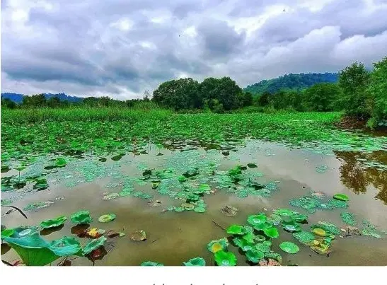 همین حالا با من تماس بگیر