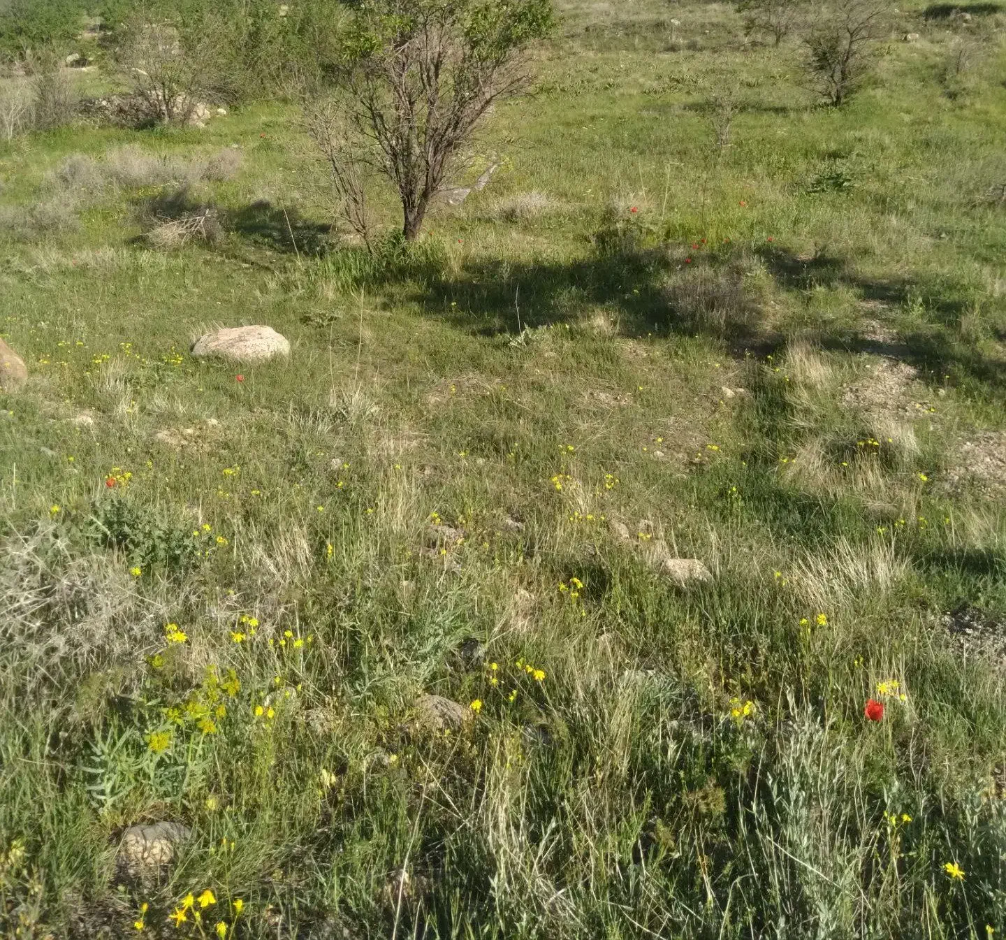 زمین فروشی