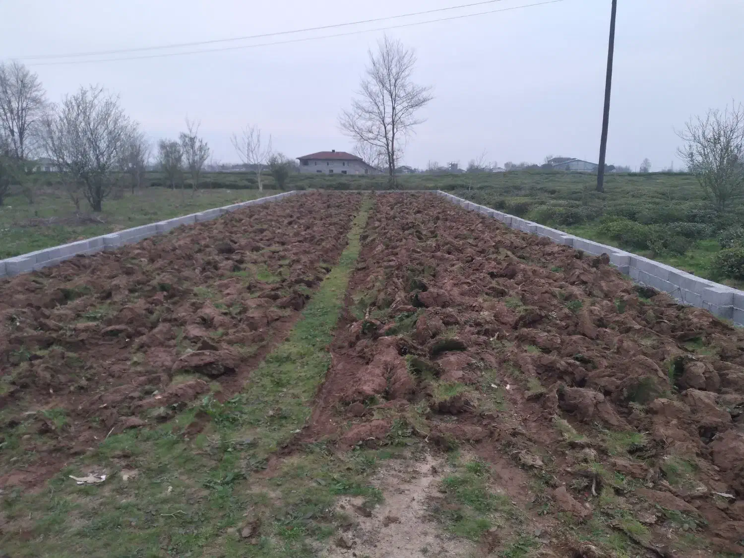 دو قطعه زمین ۳۰۰متری باغی دارای طرح هادی