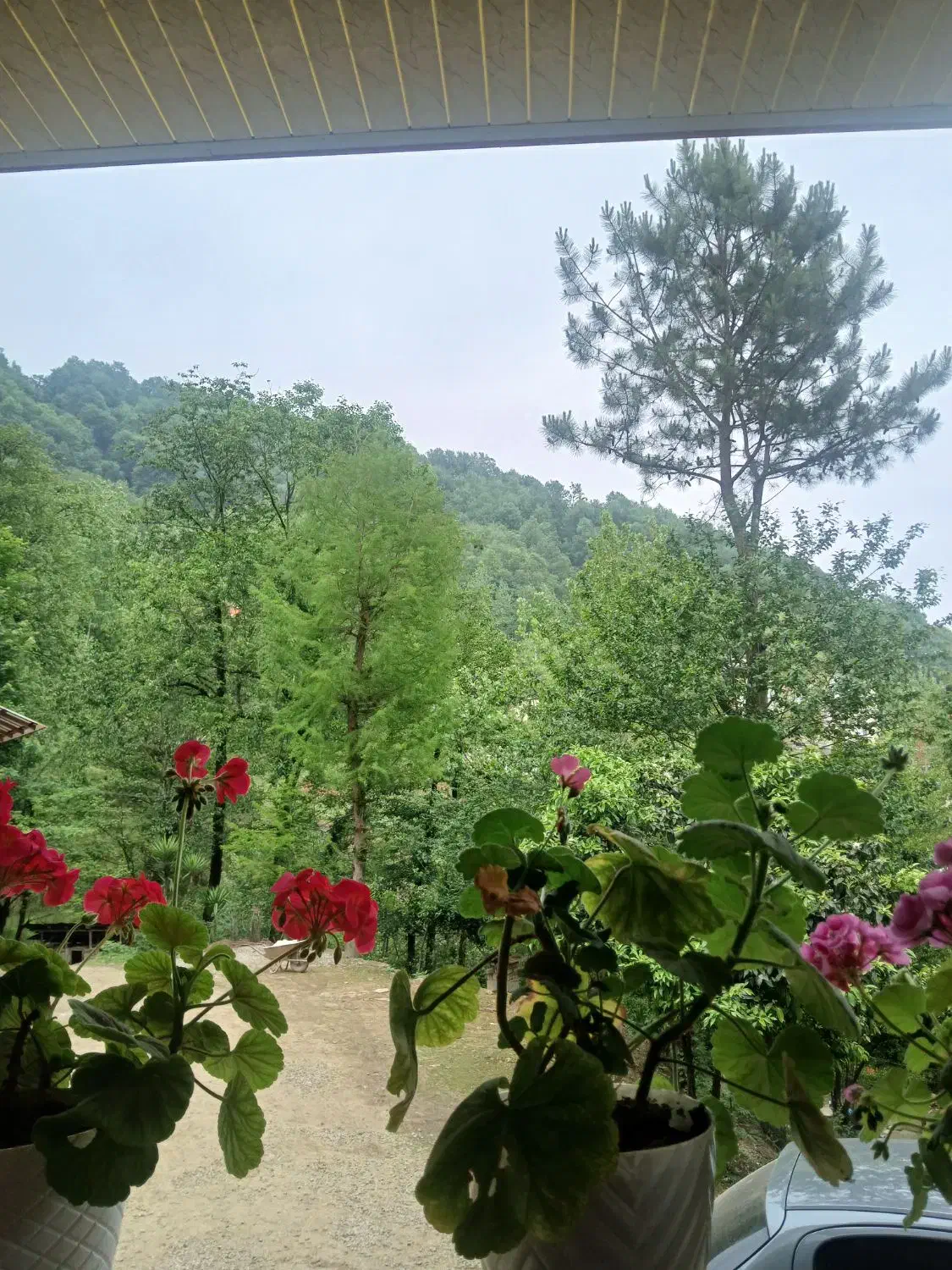 اجاره سالیانه ویلا در جای خوش اب هو