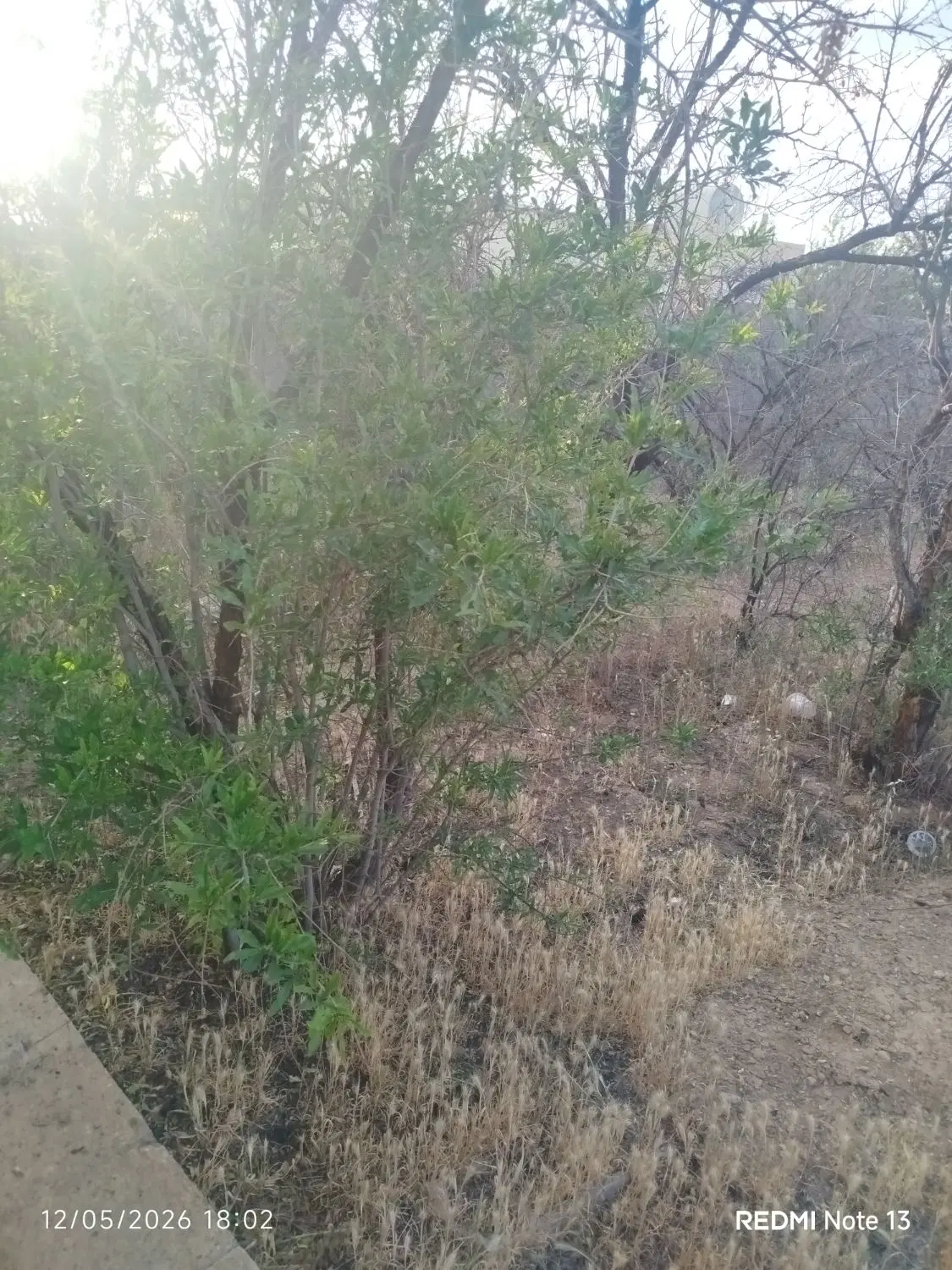 زمین واقع در نجف آباد محدوده بازار شب