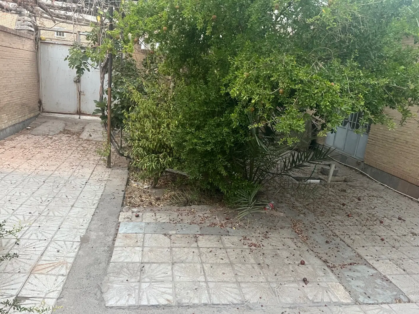رهن و اجاره خانه دربست همکف