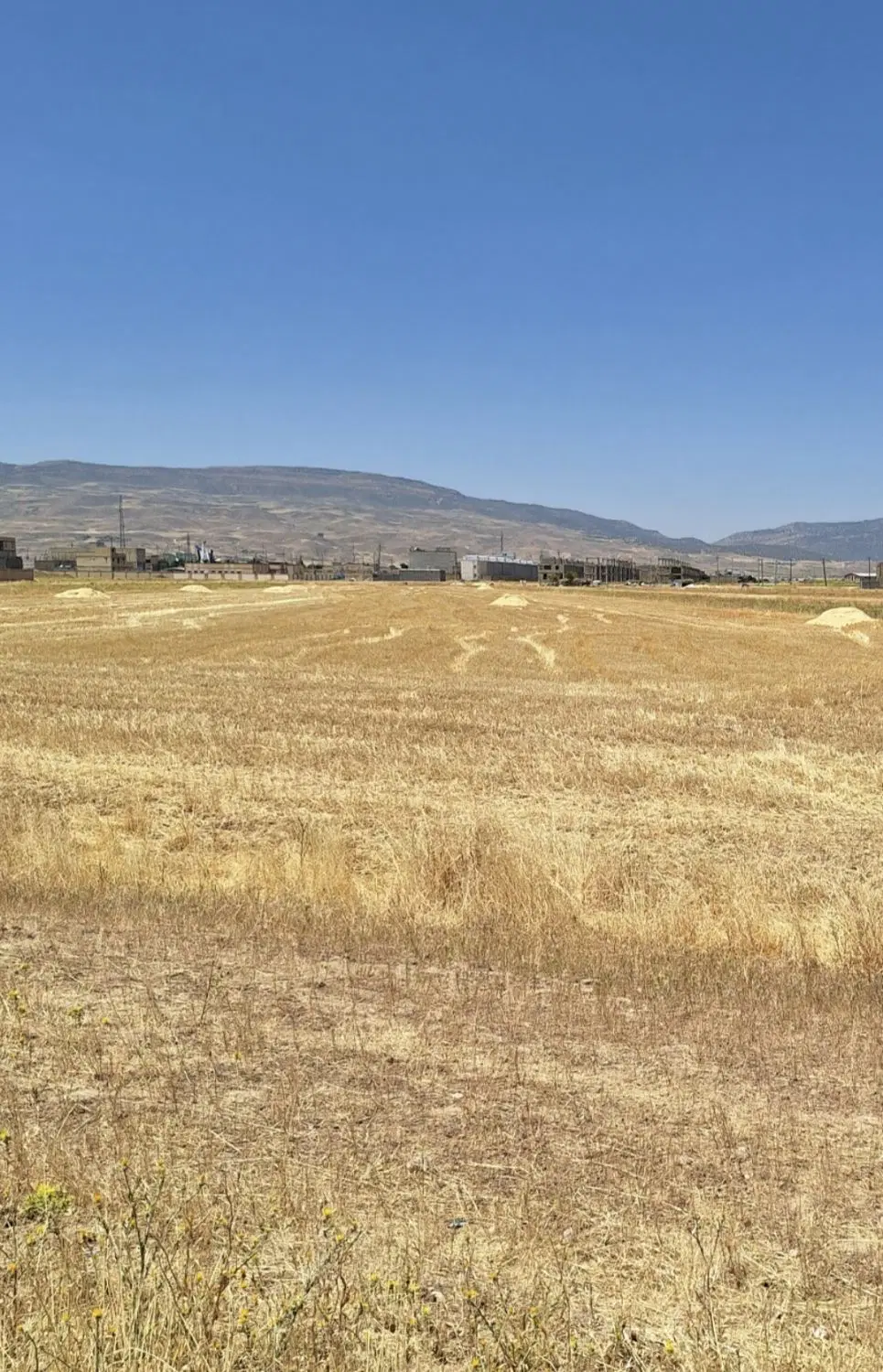 زمین کلیایی ماهیدشت