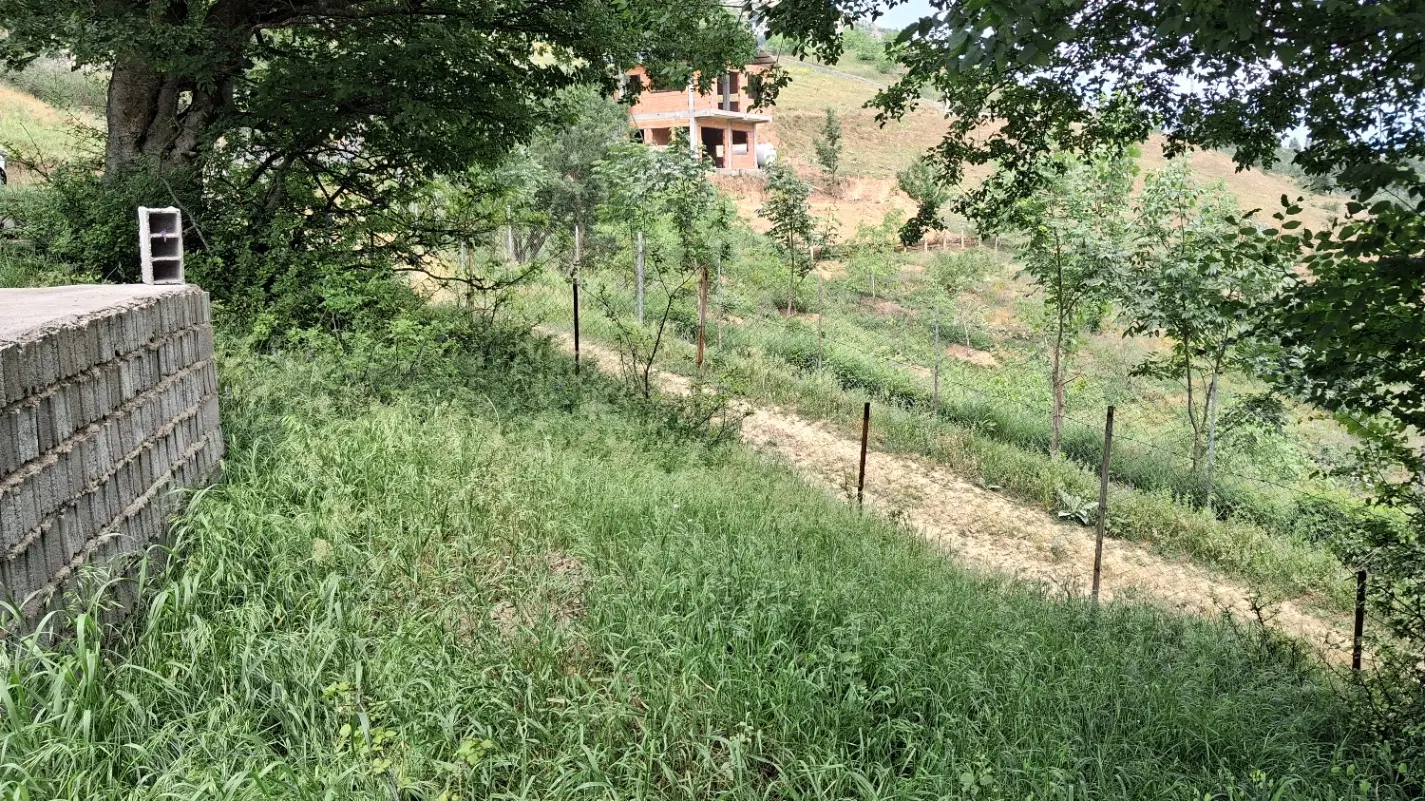 فروش زمین باغی با ساخت بنا چن ساله