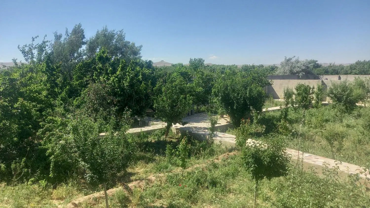 باغ ویلای ۱۰۰۰ متر