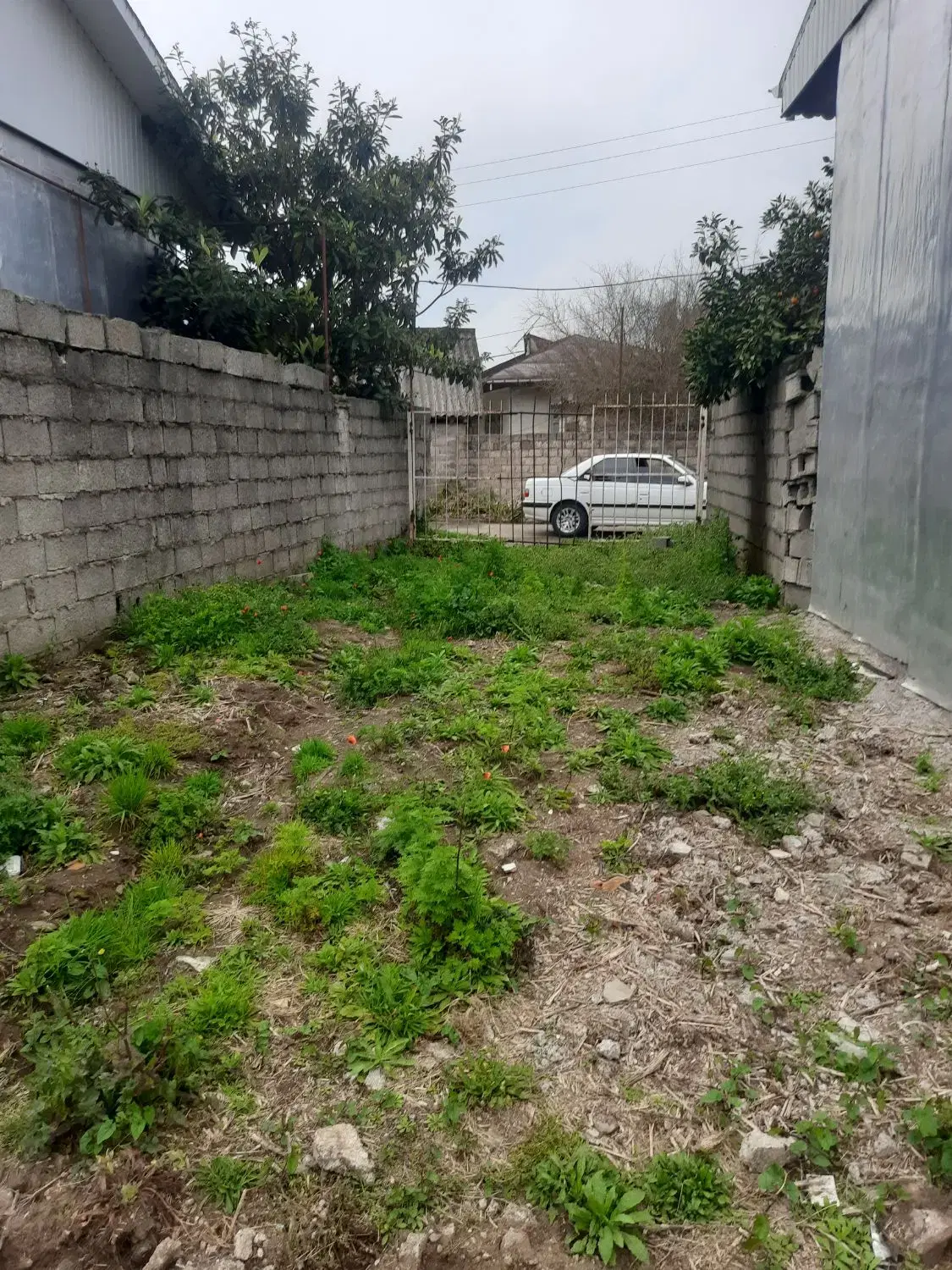 زمین مسکونی سند تک برگ ۴۳۳متر