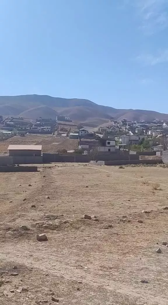 250متر