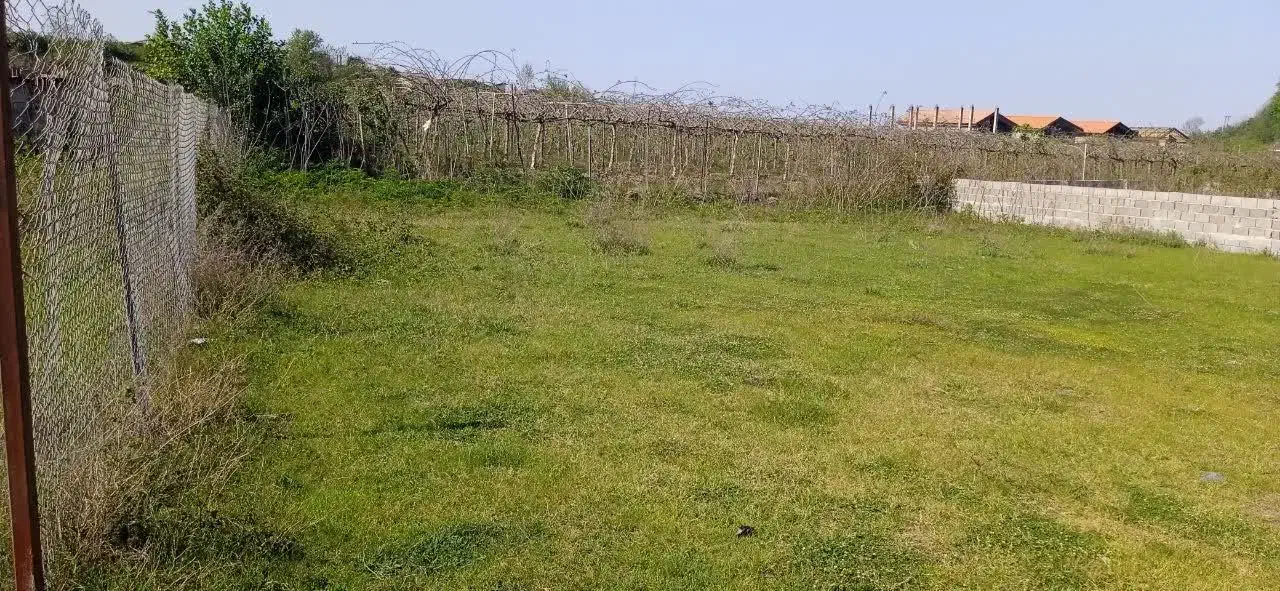 فروش ۵۰۰ متر زمین