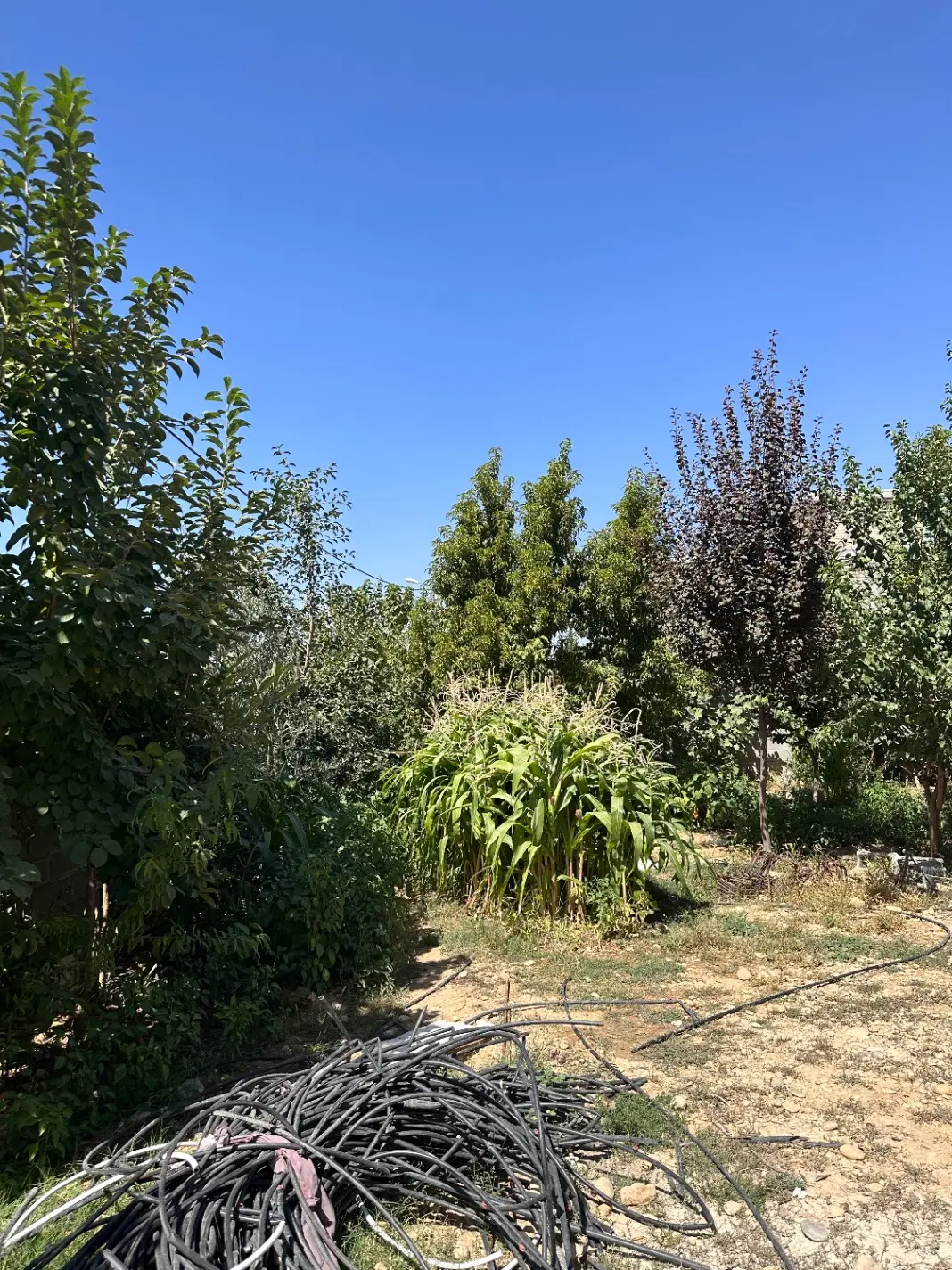 زمین مسکونی هماشهر همایجان سپیدان