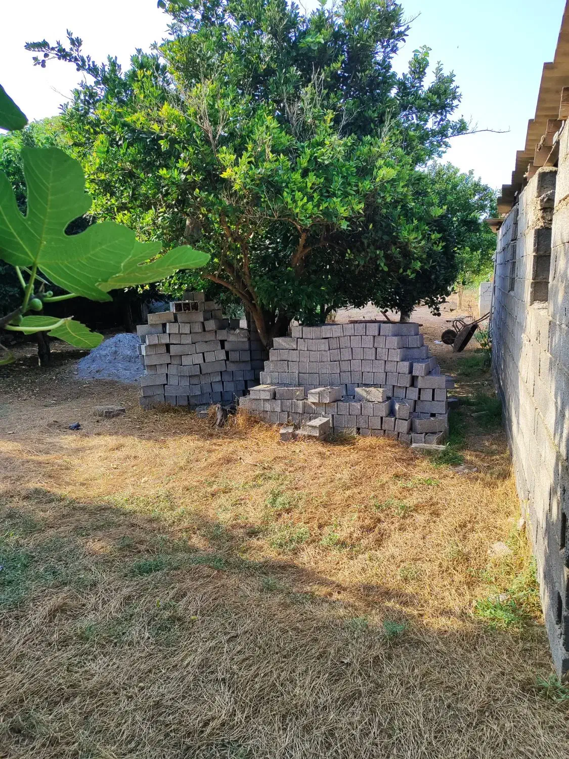 باغ 700متری