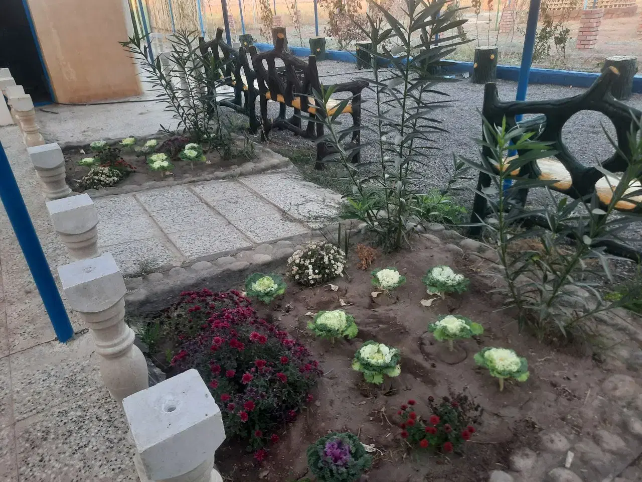 خانه،باغ