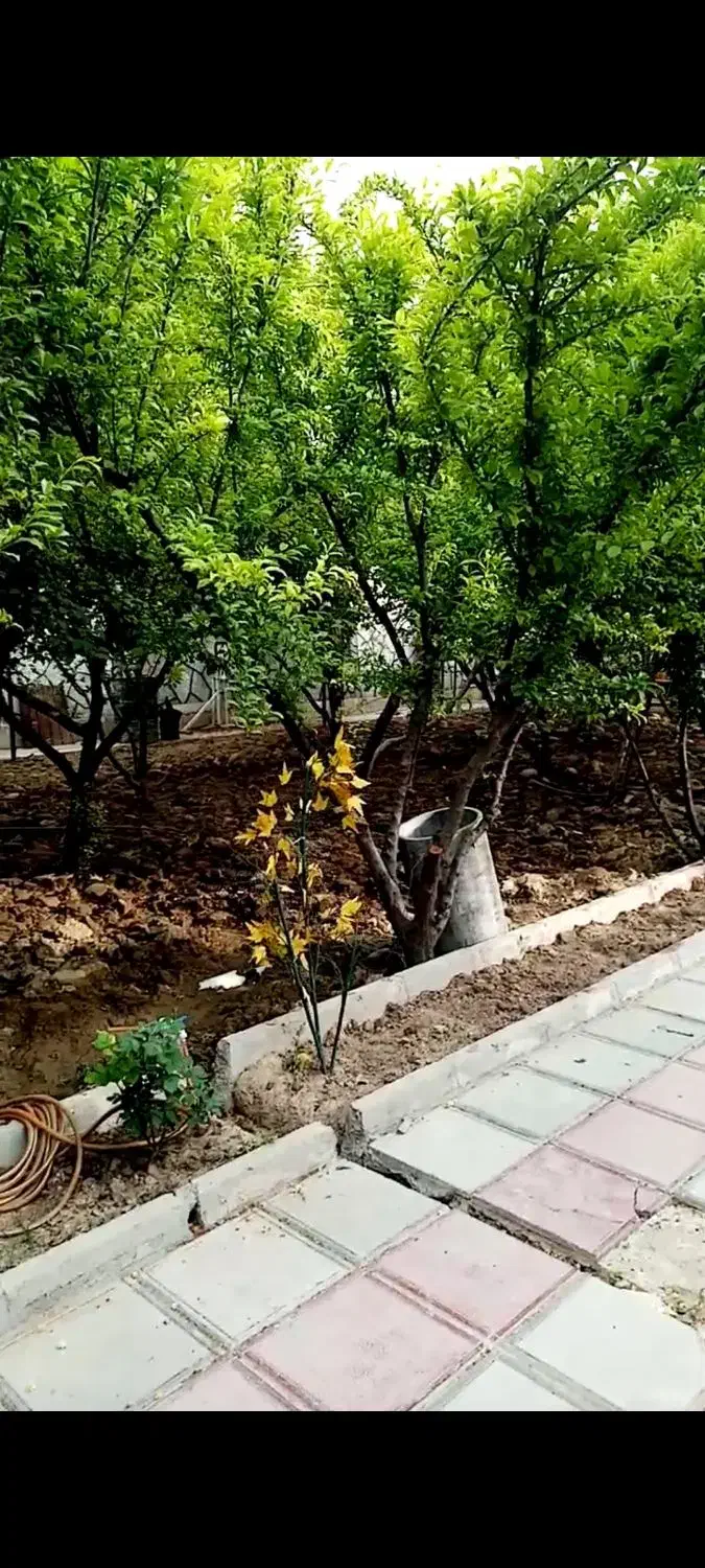باغچه از ۲۰۰ متر تا ۹۰۰۰ متر