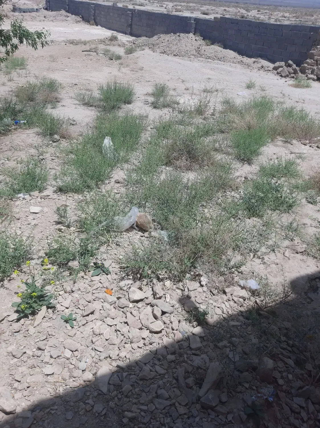 زمین فروشی