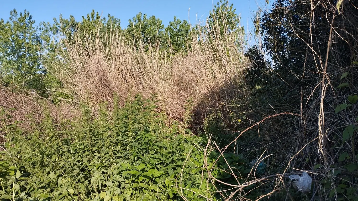 زمین در روستای دوستکوه