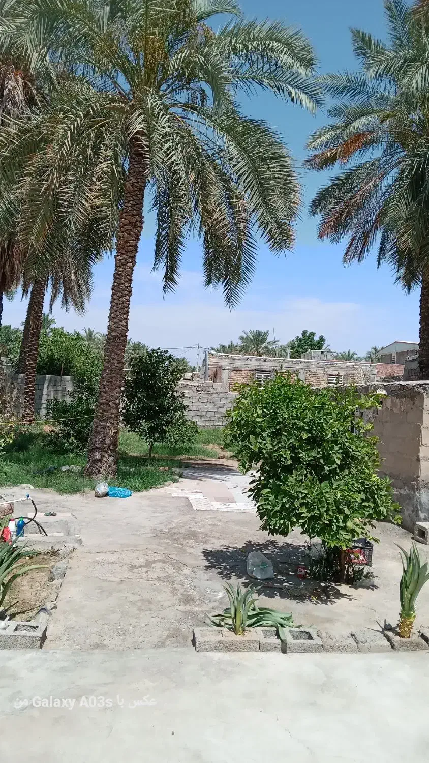 فروش یک قطعه زمین