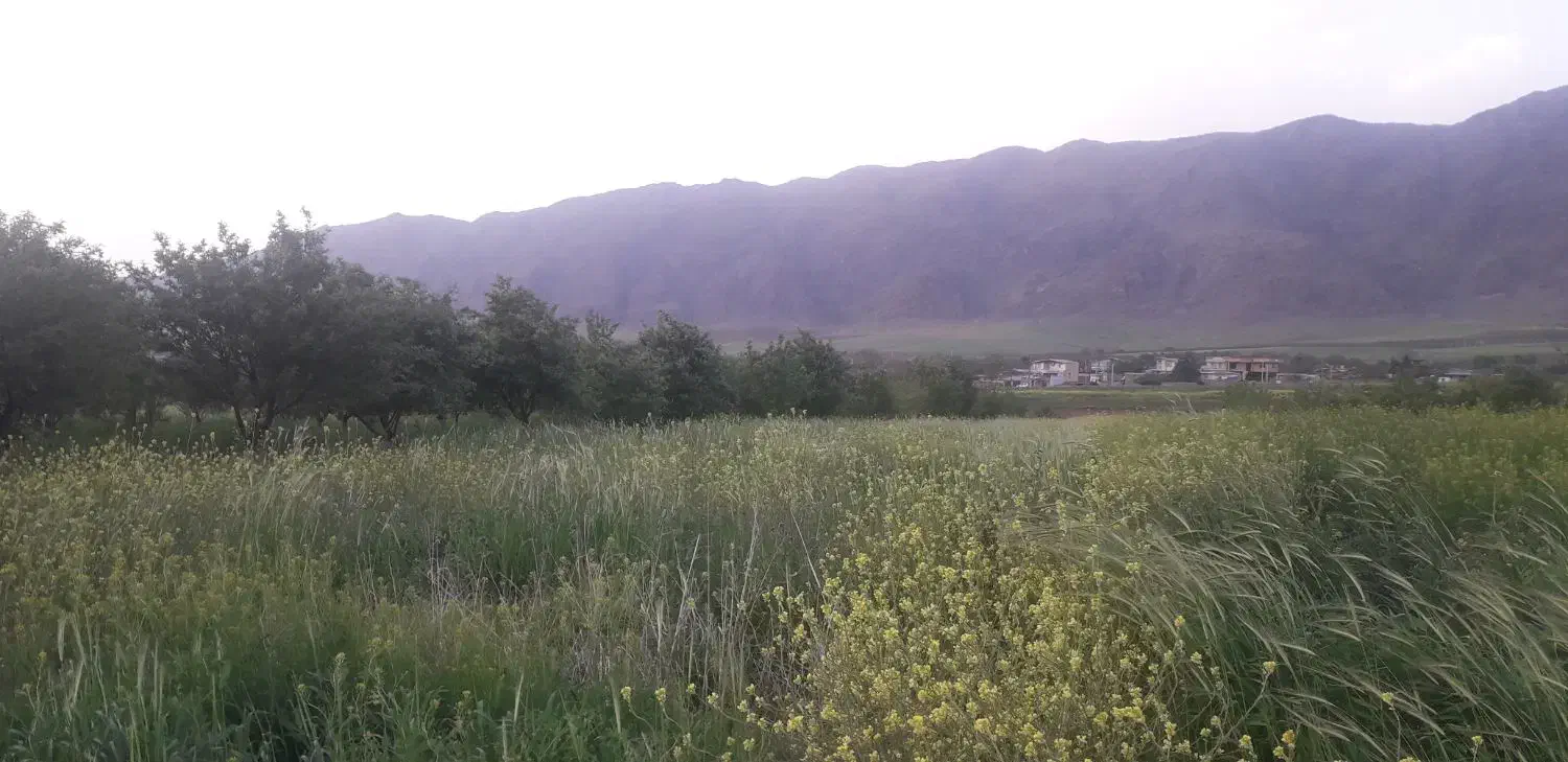 ۱۱۰۰مترزمین حسن آبادکمالوند