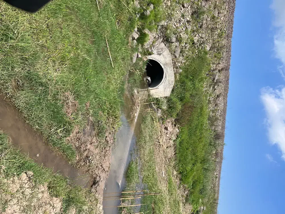 زمین کشاورزی زیر پل رِیل شیجان