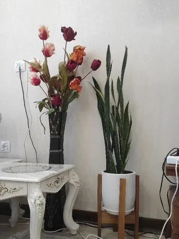 فروش منزل مسکونی کناره