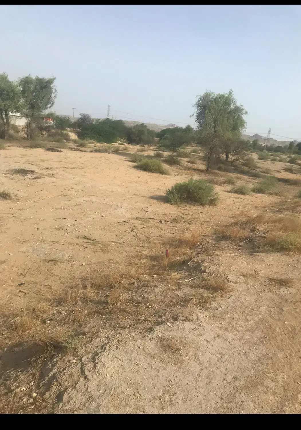 پاتل ایسین تجاری مسکونی