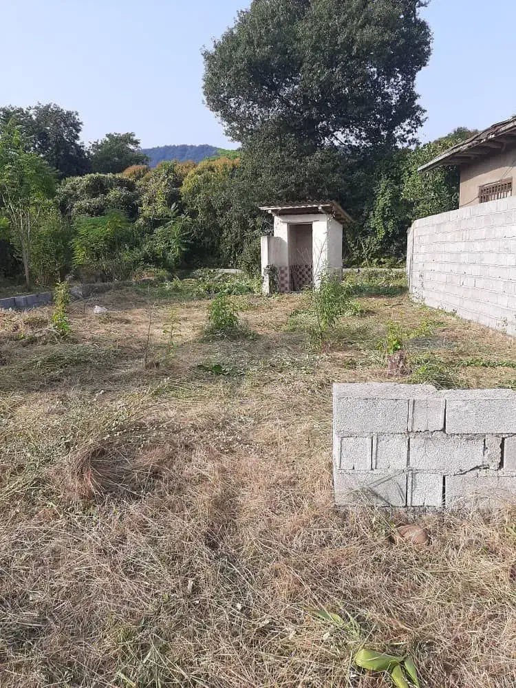زمین 343متری رامسر