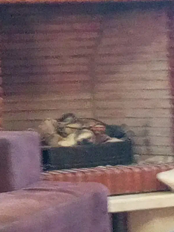 همخونه نوشهر