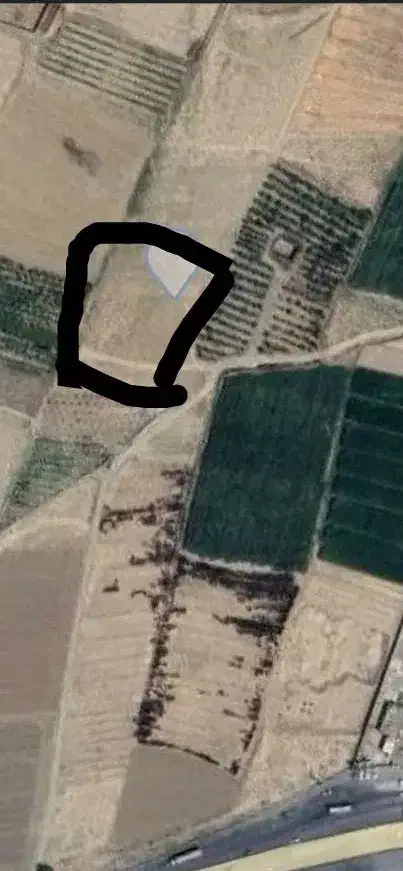 زمین زراعی