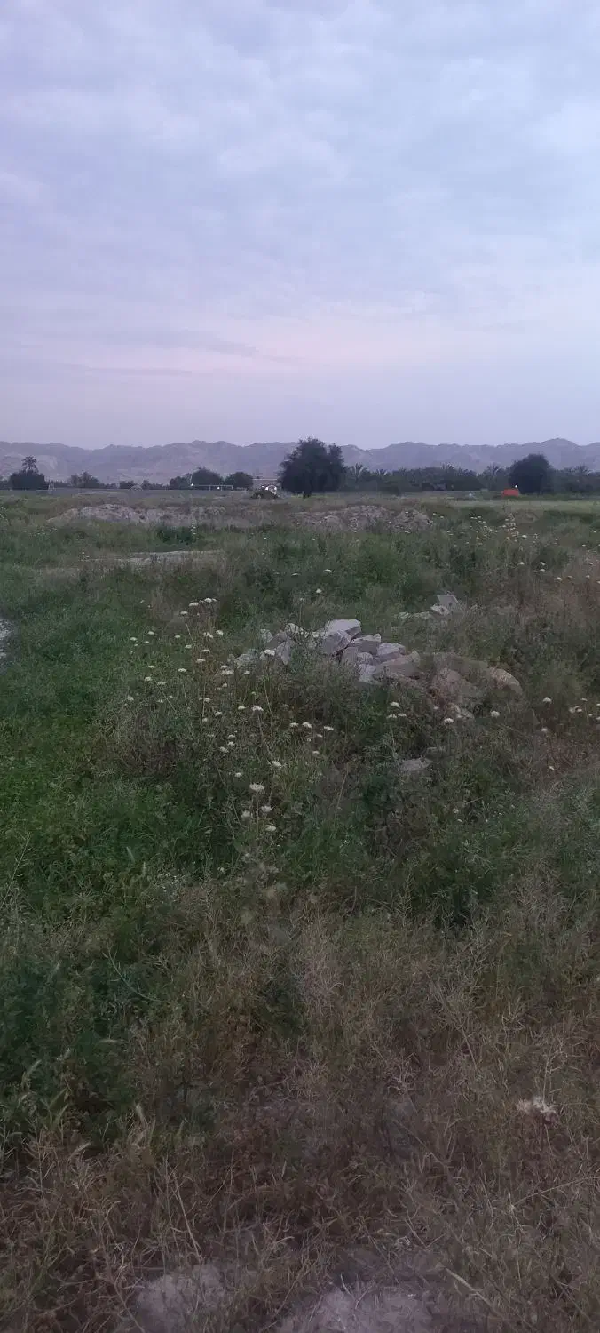 زمین ۲۳۰ متری