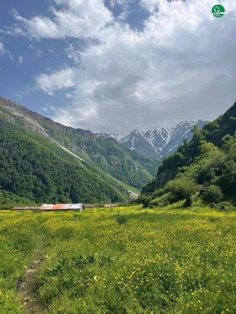 زمین فرزندآوری