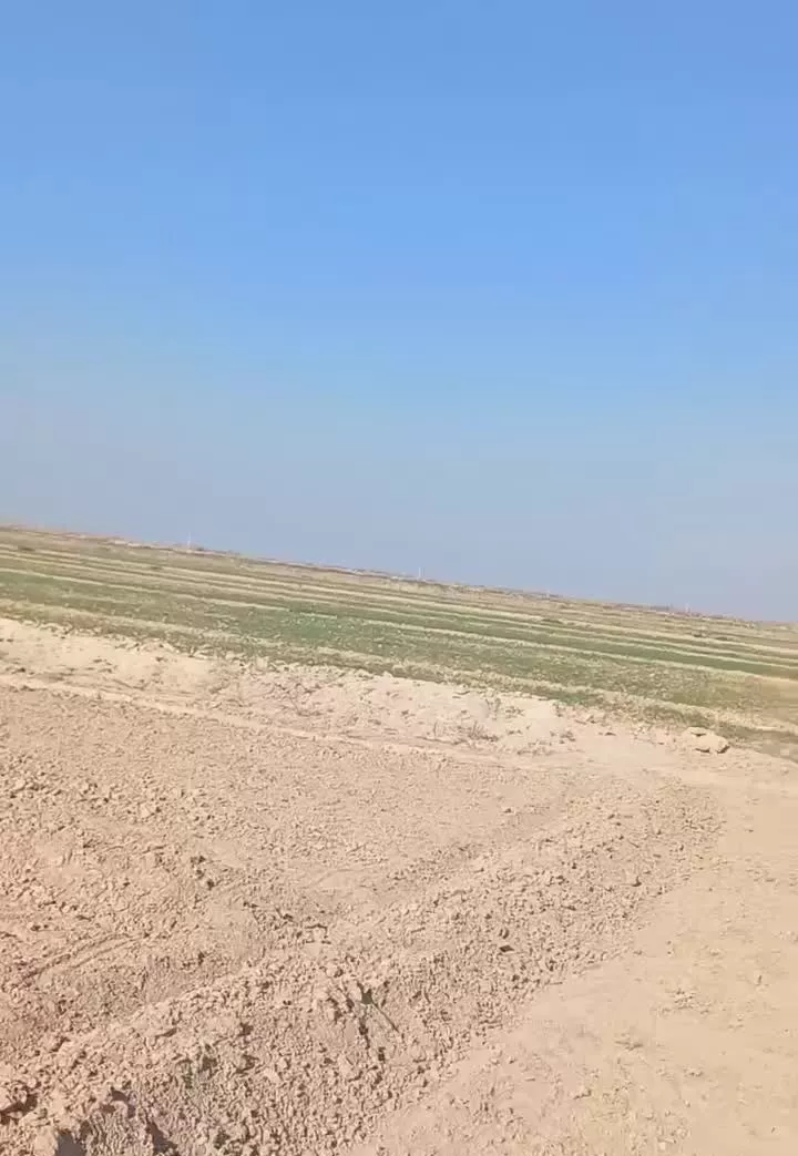 زمین