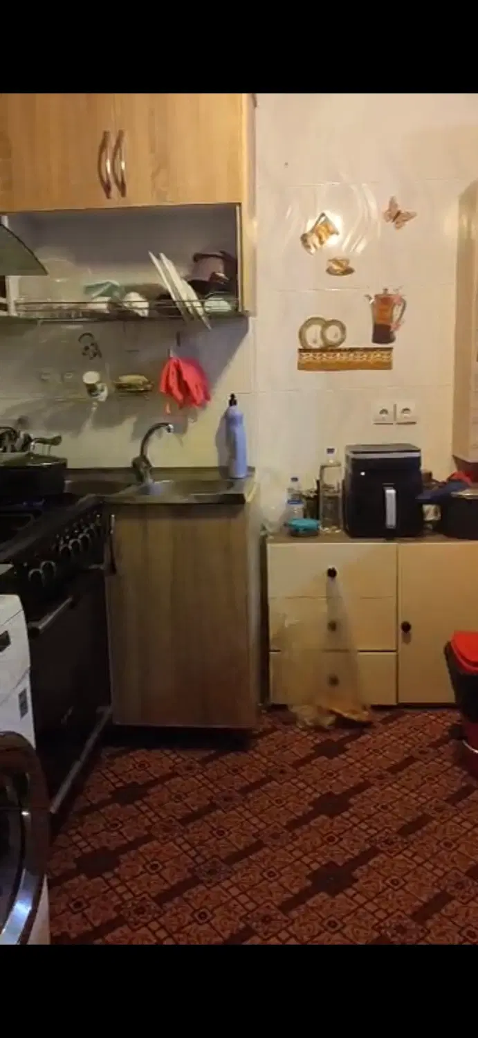 مهرگان یک خوابه