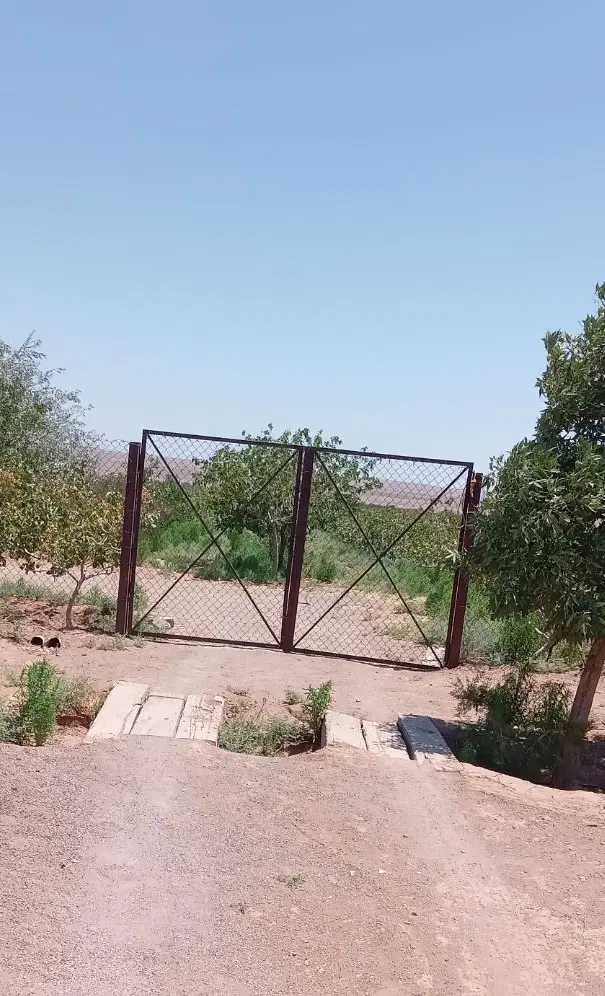 فروش باغ پسته