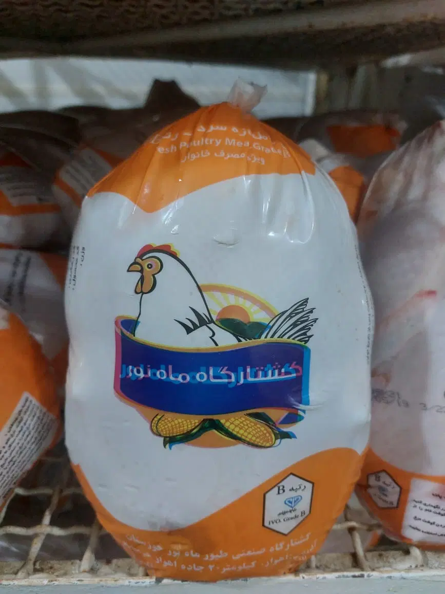 اعطای نمایندگی پخش مرغ