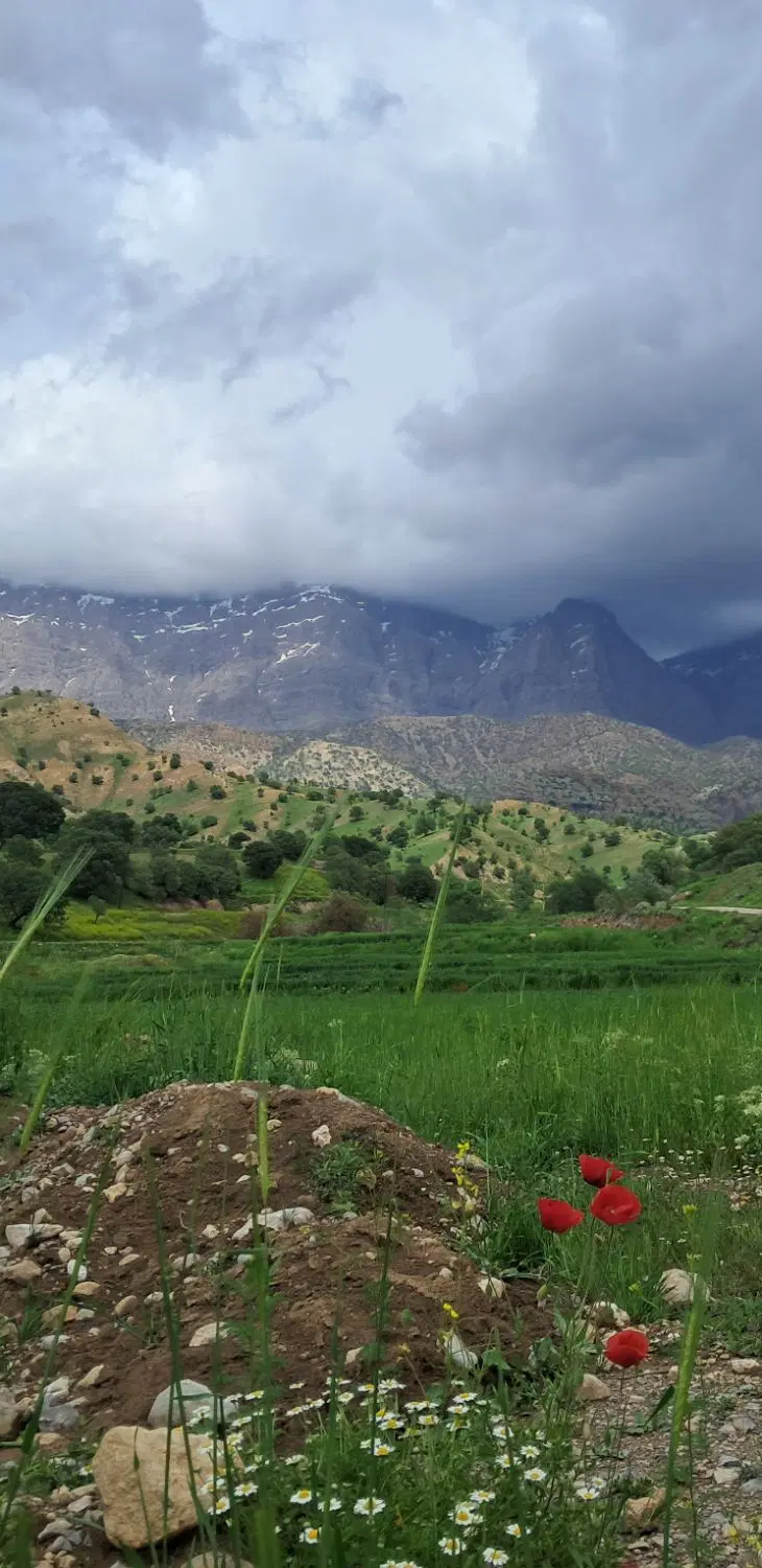 زمین کشاورزی دارای جاده آب وچشمه بمتراژ ۵۰۰۰متر