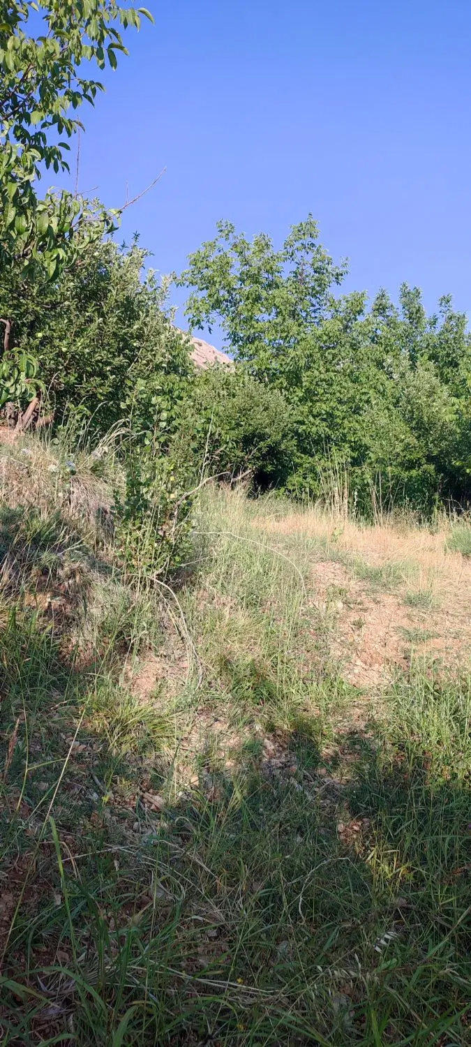 باغ کشاورزی گنجگان