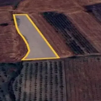زمین کشاورزی