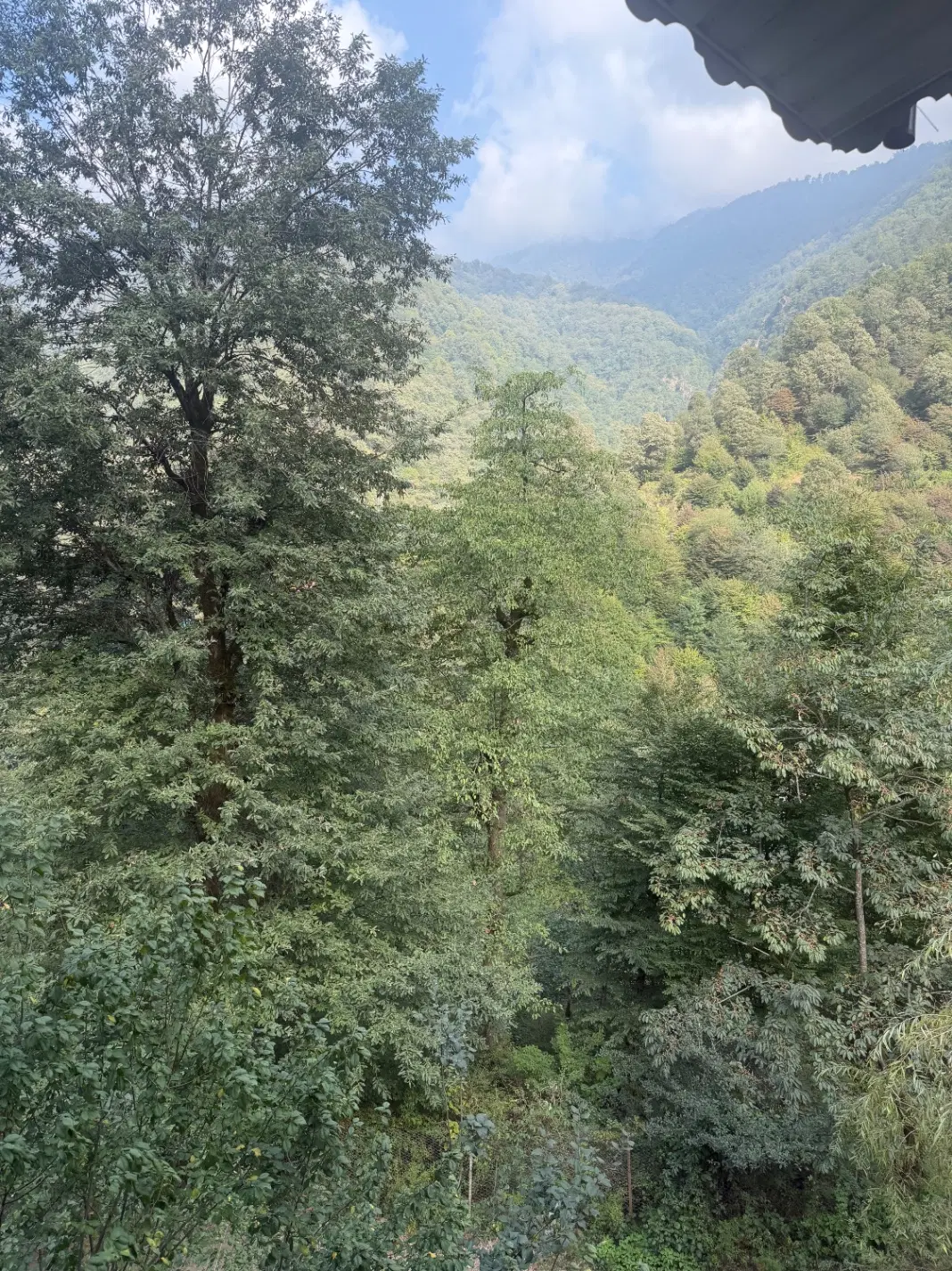 معاوضه زمین چماچا با ماشین گذر موقت