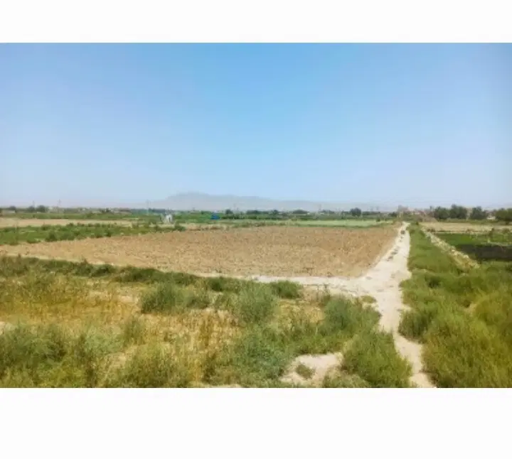 یک هکتار اراضی اخلمد پلاک ۲۵۲ سند قطعی