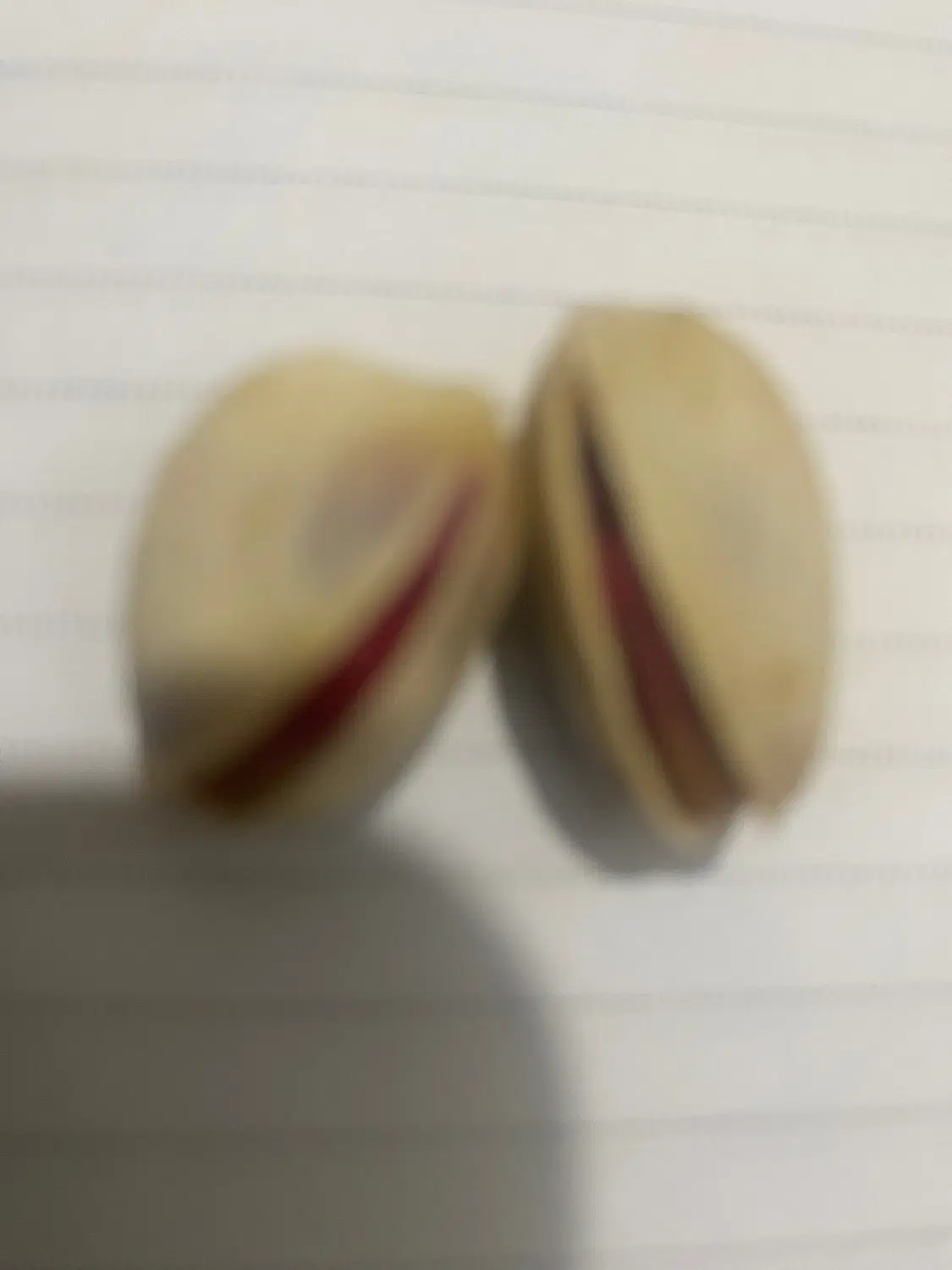 فروش زمین پسته