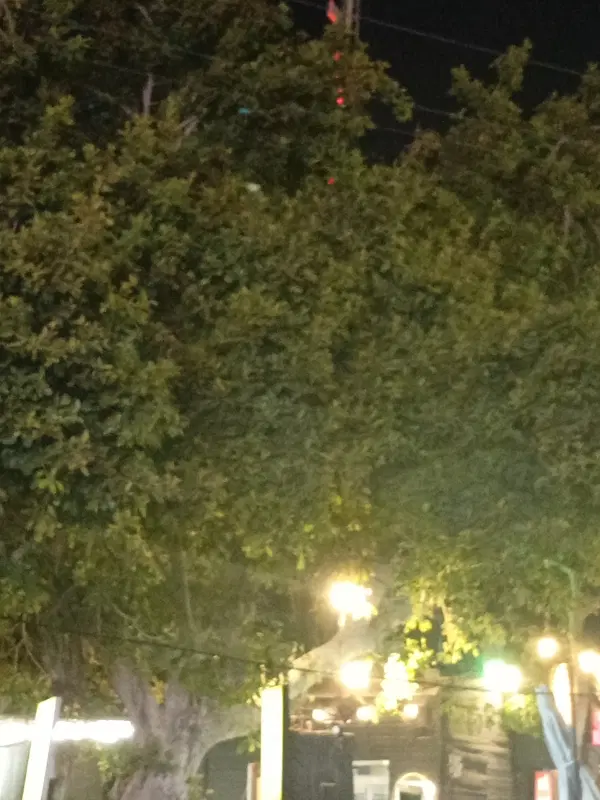 خانه باغ