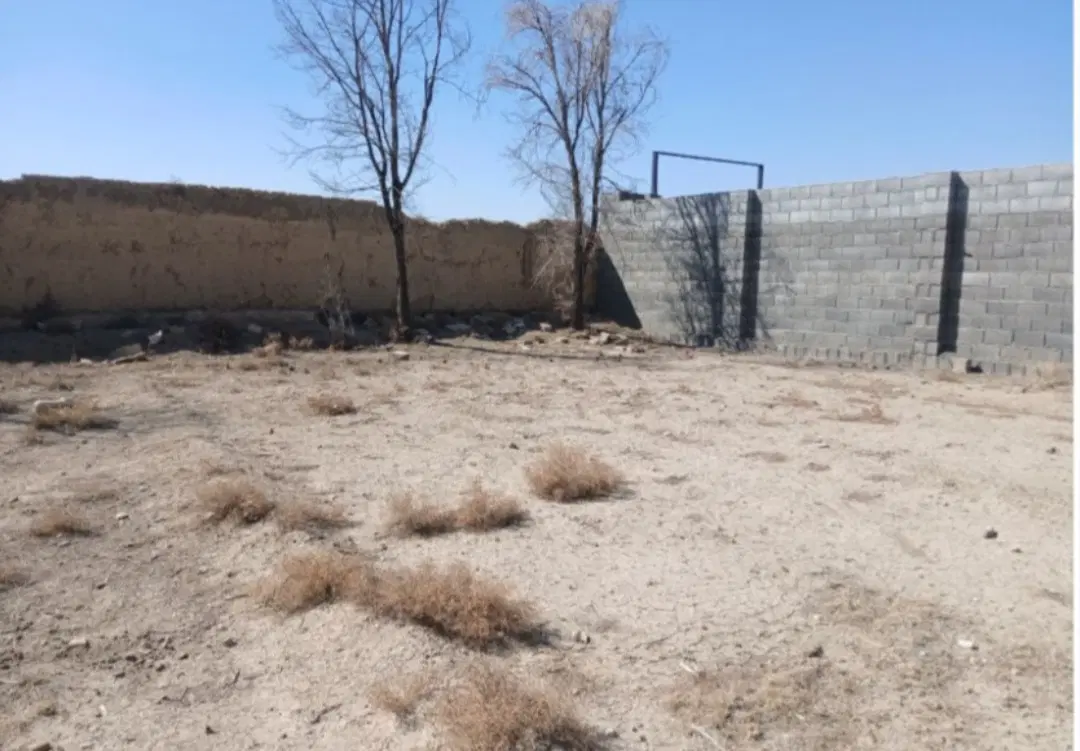 زمین باغی واقع در روستایی ایچی